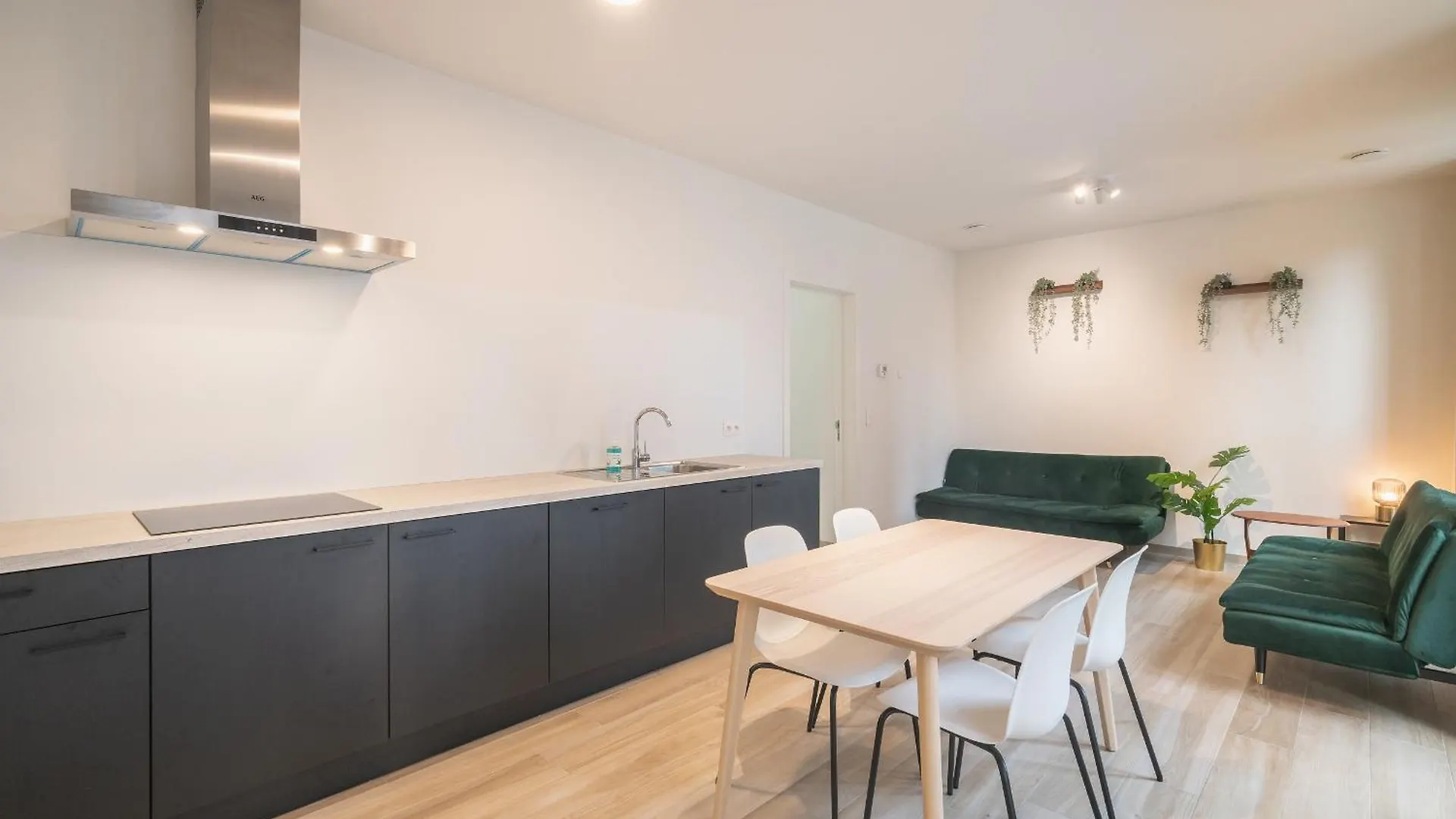 Opera Apartments In The Center Of Antwerpen